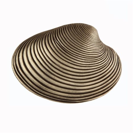 Acorn Mfg Artisan Collection Clam Shell Knob, Antique Brass DP3AP